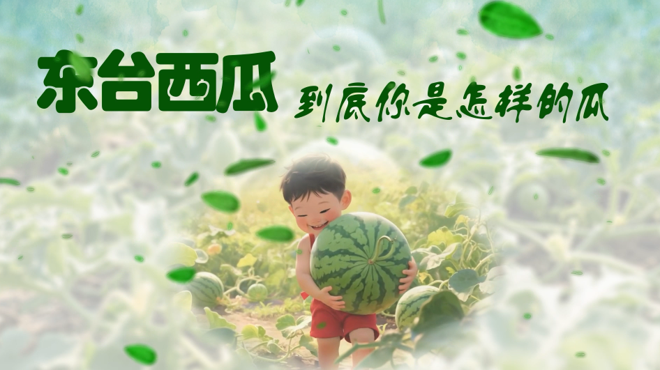 东台西瓜.png