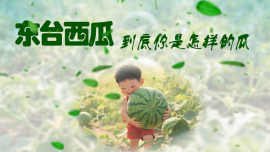 东台西瓜.png